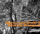 Marco von Orelli 5 - Alluring Prospect