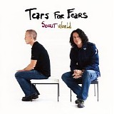 Tears For Fears - Secret World