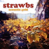 Various artists - Acoustic Gold