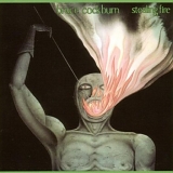 Cockburn, Bruce - Stealing Fire