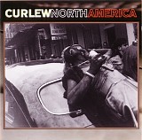 Curlew - North America