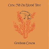 Graham Coxon - Crow Sit On Blood Tree