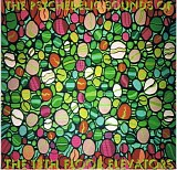 The 13th Floor Elevators - The Psychedelic Sounds Of (Stereo)