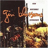 Gin Blossoms - New Miserable Experience (1st Pressing)