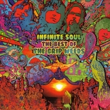 The Grip Weeds - Infinite Soul: The Best of the Grip Weeds