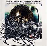 Future Sound Of London, The - Teachings From The Electronic Brain (The Best Of FSOL)
