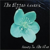 The Bigger Lovers - Honey in the Hive