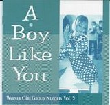 Various artists - Warner Girl Group Nuggets Volume 5: A Boy Like You