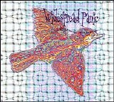 Widespread Panic - 'til The Medicine Takes