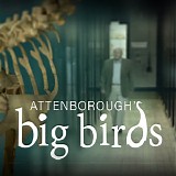 James Barrett - Attenborough's Big Birds