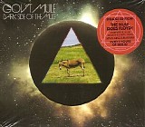 Gov't Mule - Dark Side Of The Mule (Deluxe Edition)