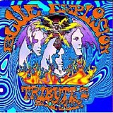 Various Artists - Blue Explosion - A Tribute To Blue Cheer