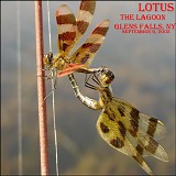 Lotus - Live at the Lagoon, Glen Falls NY 9-6-02