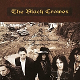 The Black Crowes - The Southern Harmony And Musical Companion [2 LP]
