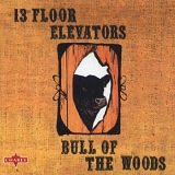The 13th Floor Elevators - Bull Of The Woods