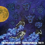 The Mountain Goats - Transcendental Youth