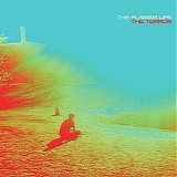 The Flaming Lips - The Terror