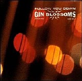 Gin Blossoms - Follow You Down