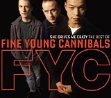 Fine Young Cannibals - She Drives Me Crazy: The Best of Fine Young Cannibals