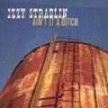 Izzy Stradlin - Ain't it a Bitch
