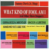 Sammy Davis Jr - What Kind of Fool Am I and Other Show Stoppers