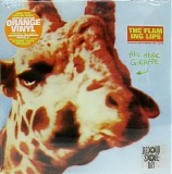 Flaming Lips, The - This Here Giraffe