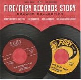 Various artists - The Fire And Fury Records Story