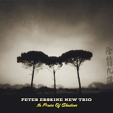Peter Erskine New Trio - In Praise of Shadows