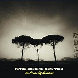 Peter Erskine New Trio - In Praise of Shadows