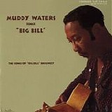 Muddy Waters - Muddy Waters Sings "Big Bill"