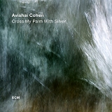 Avishai Cohen (trumpet) - Cross My Palm with Silver