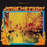 Meters, The - Fire On The Bayou