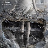 Nad Sylvan - The Bride Said No (Special Edition)