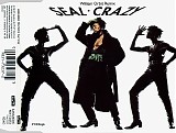 Seal - Crazy (William Orbit Remix)