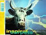 Inspiral Carpets - She Comes In The Fall / Sackville