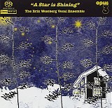 Erik Westberg Vocal Ensemble - A Star Is Shining
