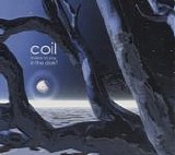 Coil - Musick To Play In The Dark 2