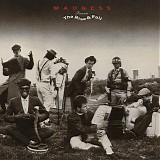 Madness - Rise and Fall, The