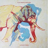Dylan Carlson & Rogier Smal - Elephanto Bianco