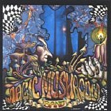 Magic Mushroom Band - Re-Hash  (Reissue)