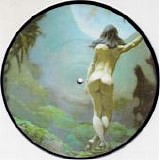 Wolfmother - Woman/ Woman (Avalanches Remix, Pic.Disc)