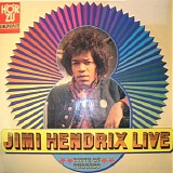 Jimi Hendrix - Birth Of Success. Jimi Hendrix Live