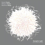 Daniel Carter, William Parker & Matthew Shipp - Seraphic Light