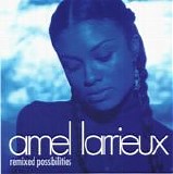 Amel Larrieux - Remixed Possibilities