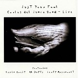 Carlos del Junco Band - Just Your Fool ( Live)