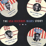 Various artists - The USA Records Blues Story