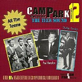 Various artists - CamPark Records: The Teen Sound Vol. 12