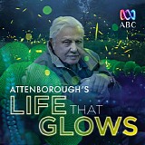 Fraser Purdie - David Attenborough's Life That Glows