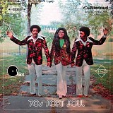 Various Artists - The Soul Preacher - The '70's Low Riding Soul