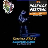 The Allman Brothers Band - Roskilde Festival 1991